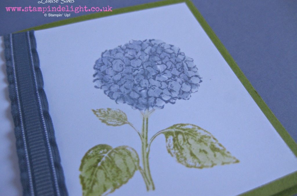 Best of Flowers Mini Cards