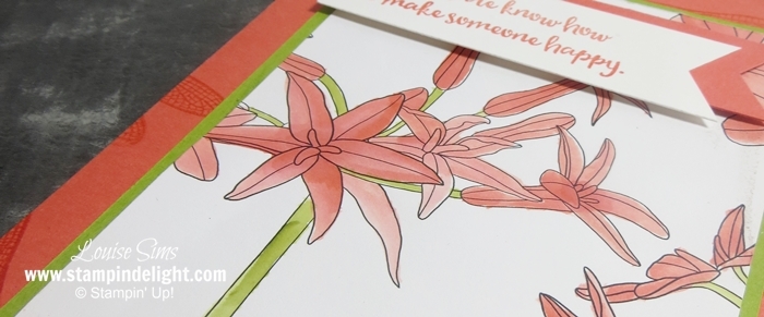 Stampin’ Up! Adult Colouring In Inside The Lines