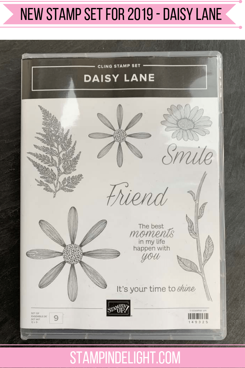 New Stampin' Up! Stamp set from 2019-2020 Annual Catalogue - Daisy Lane. Louise Sims, Papercraft Tutor & Stampin' Up! Demonstrator in the UK www.stampindelight.com #stampindelight #stampinup #papercraft