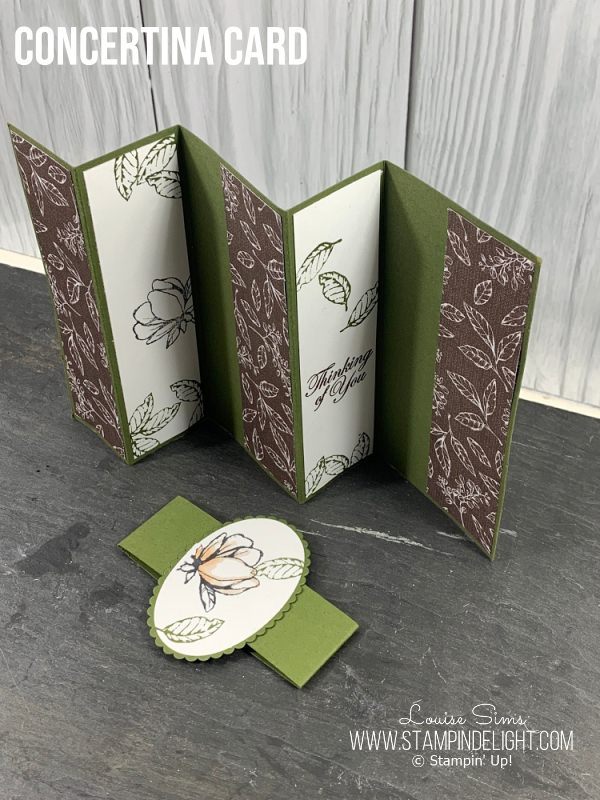 Concertina Card with Magnolia Lane - a fancy fold with 6 panels to decorate.